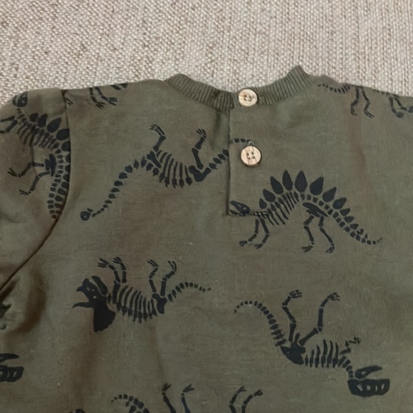 Dinosaur matching set - Picture 3 of 3